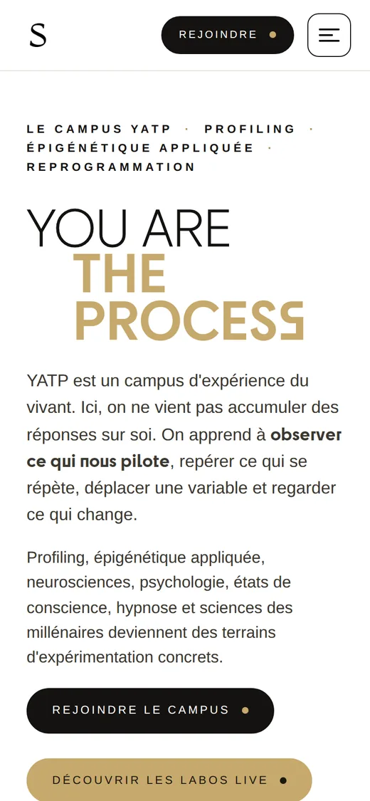 Landing page You are the process sur mobile