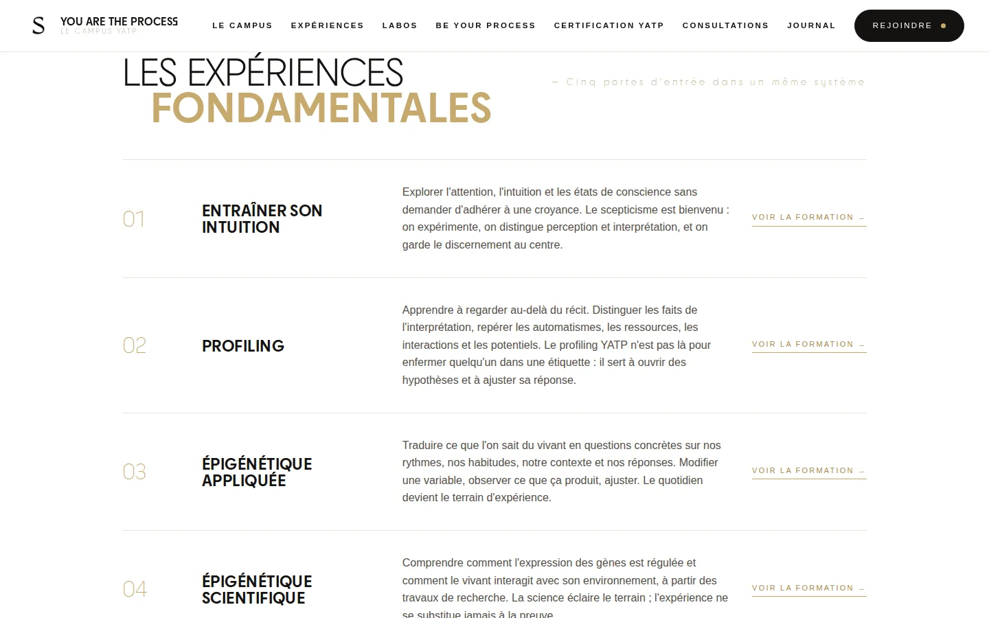 Section des expériences fondamentales de la landing page You are the process